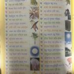 Bangla Adarshalipi - 35 in One