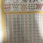 Bangla Adarshalipi - 35 in One