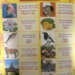 Bangla Adarshalipi - 35 in One